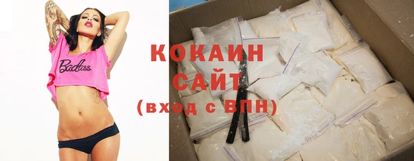 гидропоника Каменка