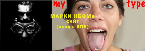 мдпв Карпинск