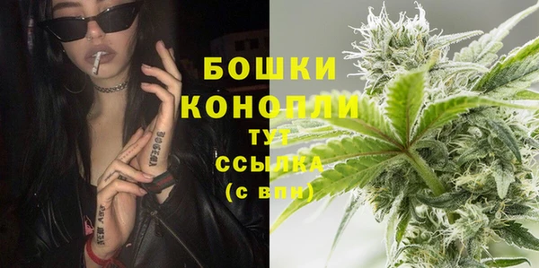 гидропоника Каменка