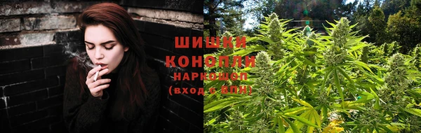 мдпв Карпинск