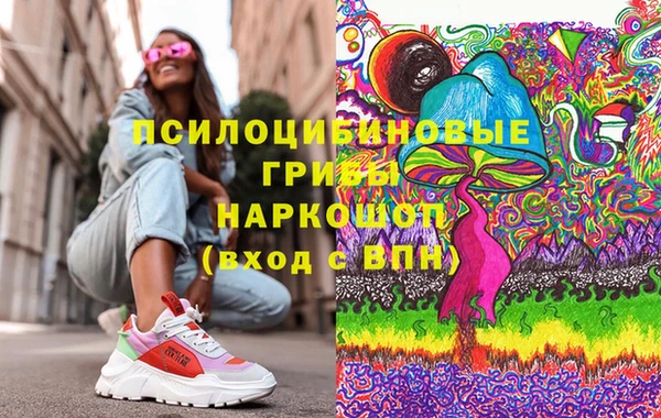 гидропоника Каменка