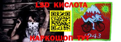 спиды Аргун