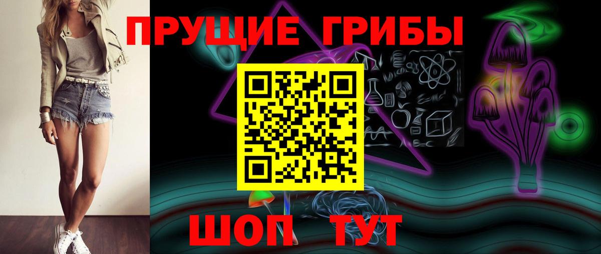 купить   Псилоцибиновые грибы прущие грибы  Вход с VPN  Бор  Галлюциногенные грибы Psilocybine cubensis 