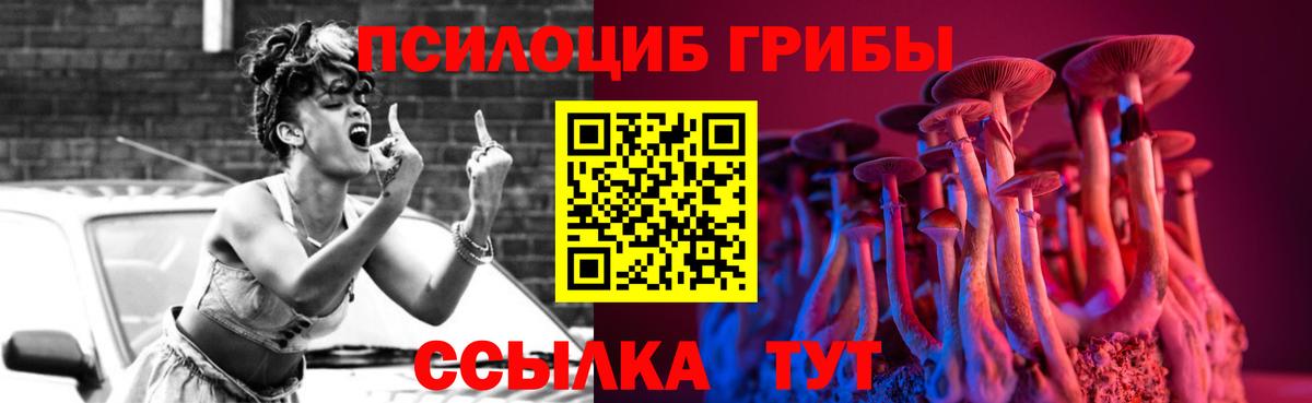 где можно купить наркотик  Бор  Галлюциногенные грибы Magic Shrooms 